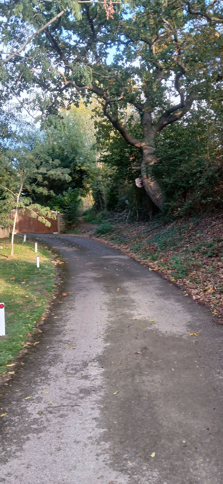 Cliff Edge trail photo 1