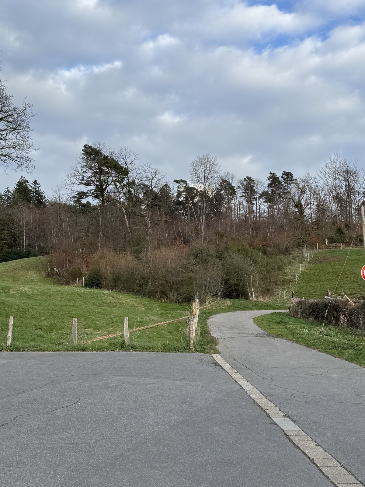 Dry Downhill trail photo 1