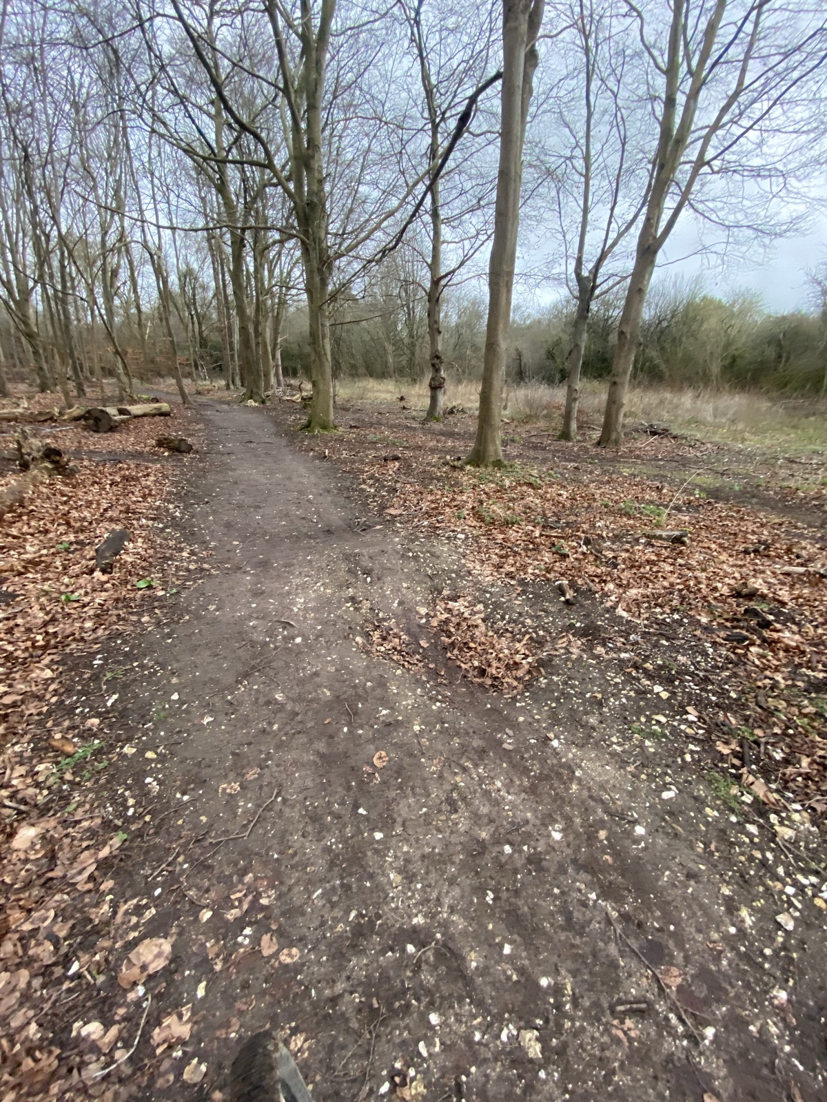 Kiwi jumps trail photo 1