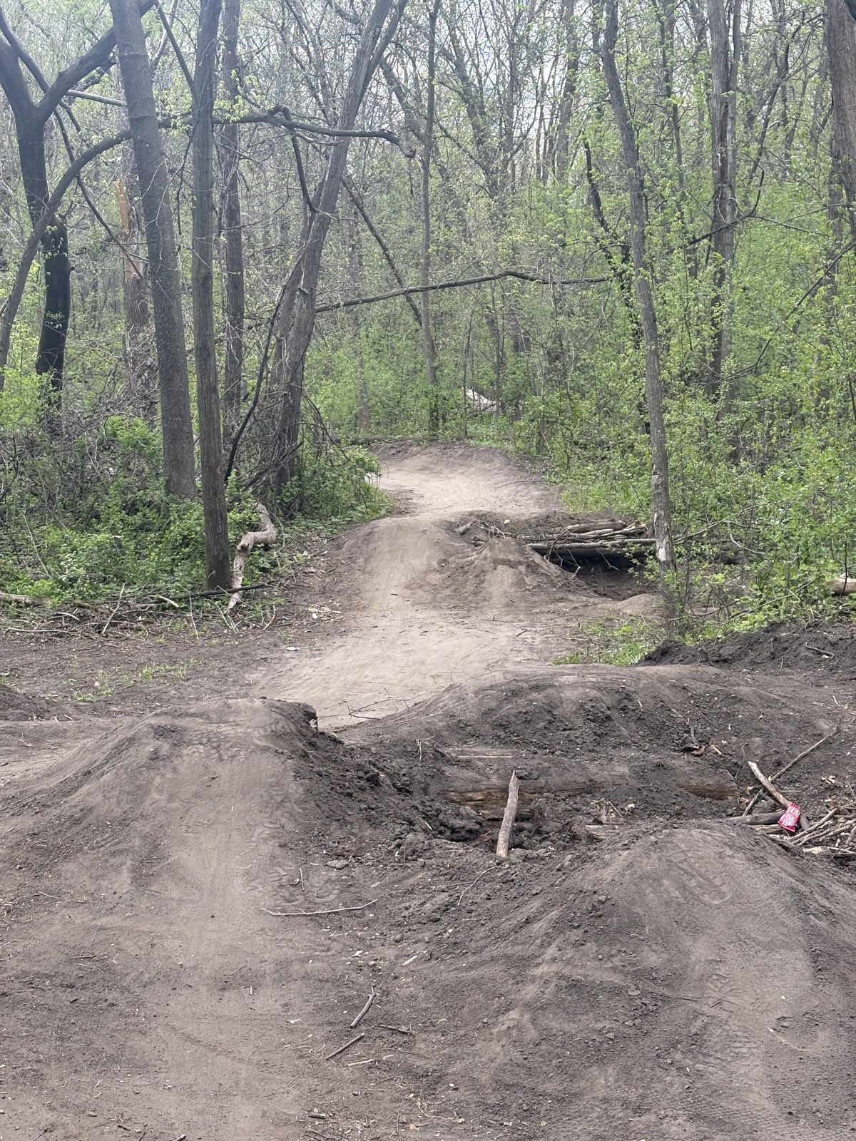 Lower rec jumps trail photo 1
