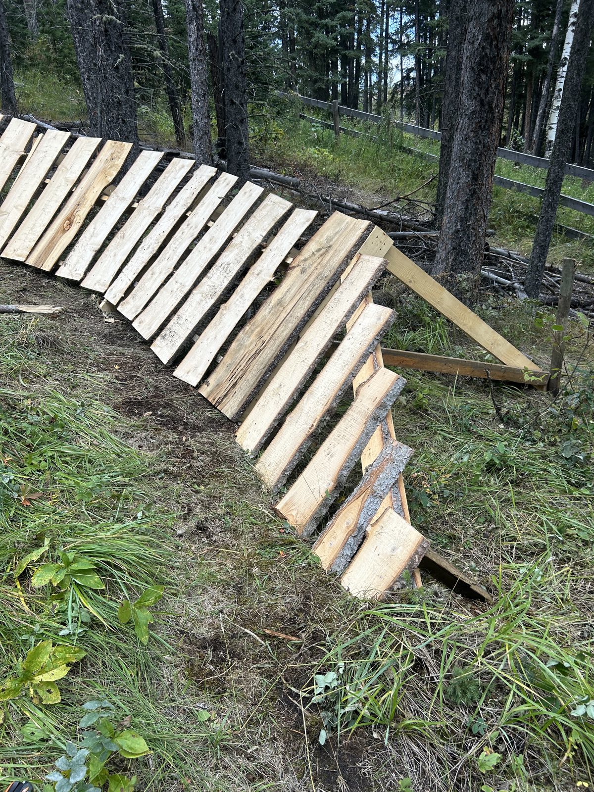 Ridge Line (2nd Way) trail photo 5