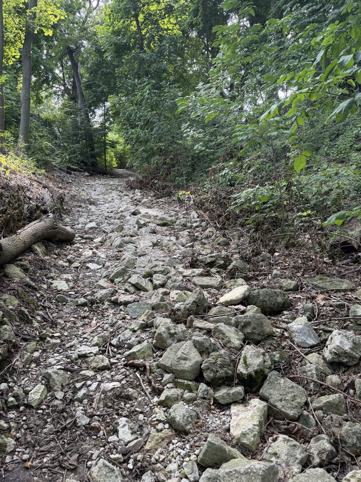 D.B.D.T trail photo 3