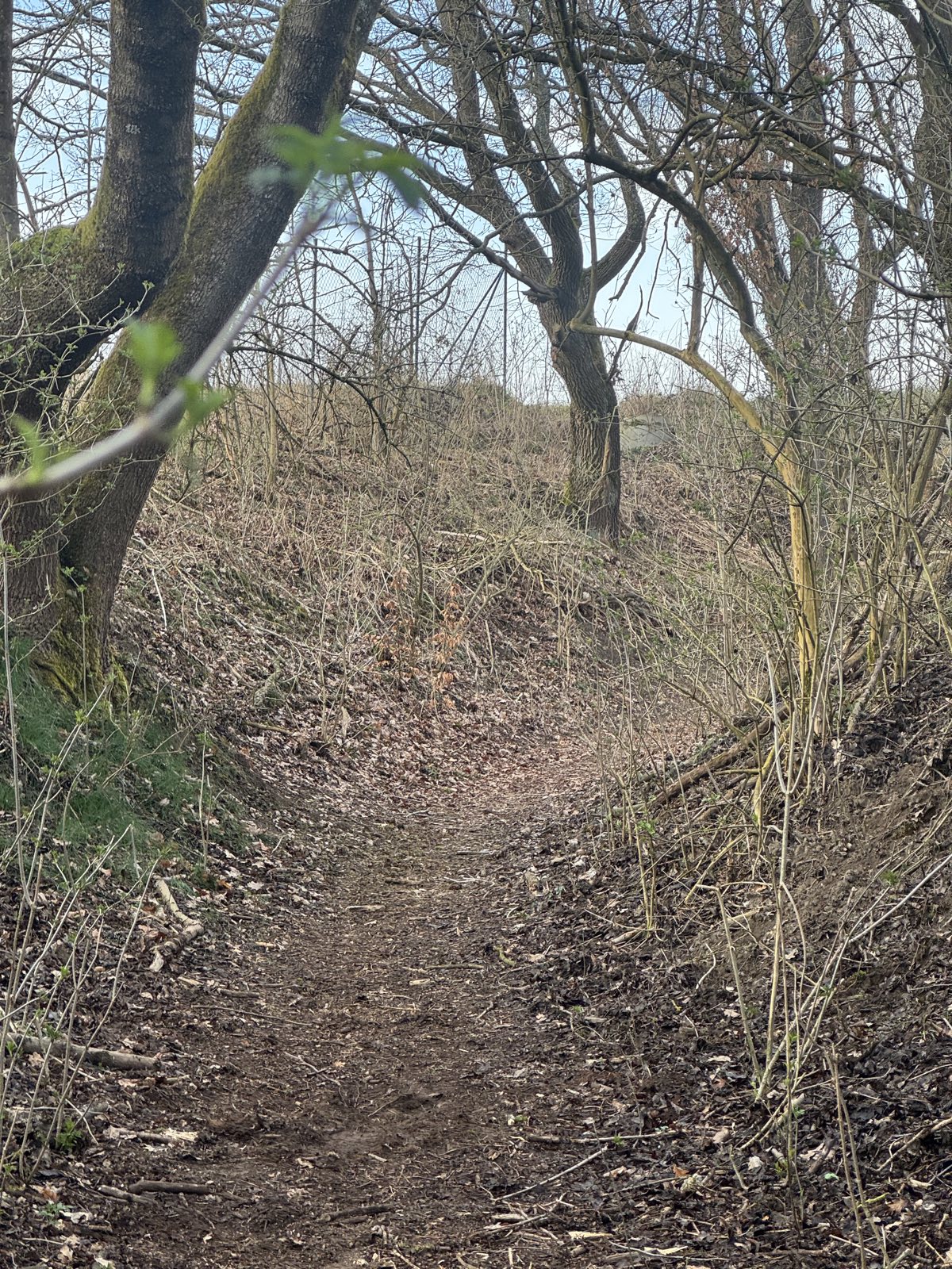 Devil’s leap trail photo 1