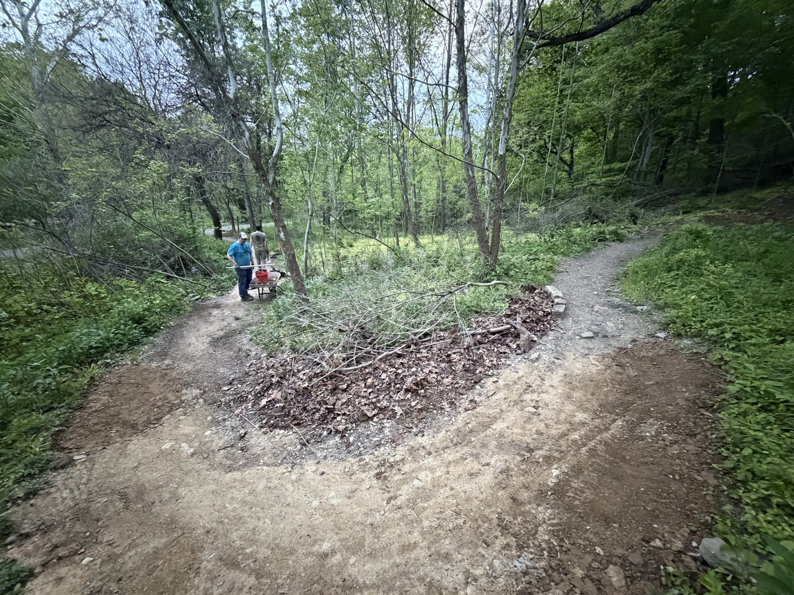 Dinky Bridge Trail trail photo 1