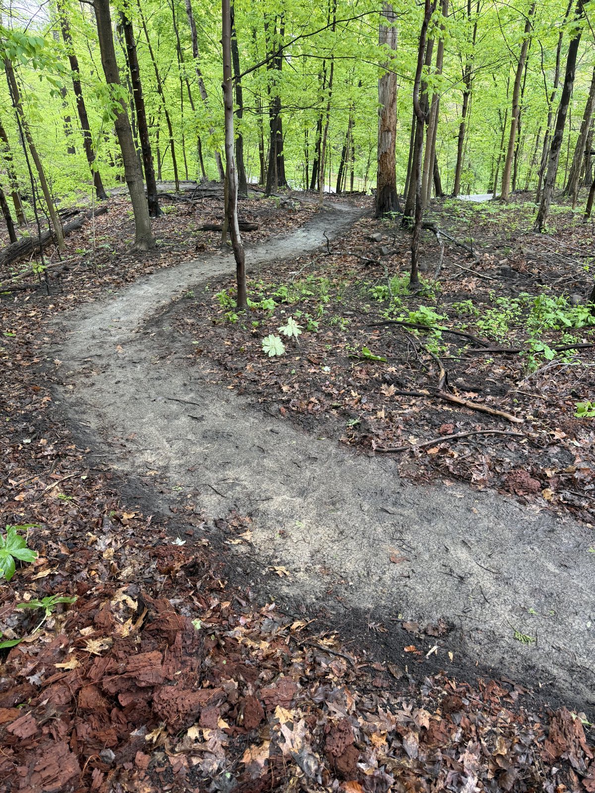 Dinky Bridge Trail trail photo 3