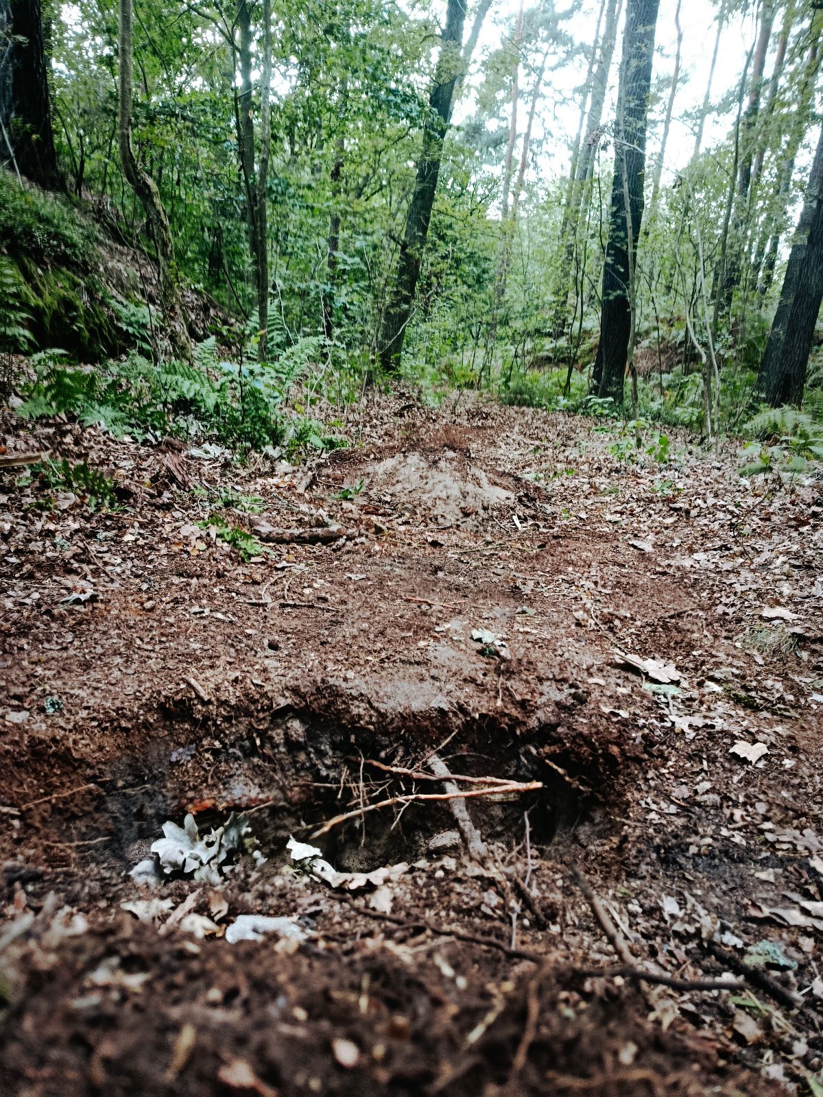 Blast Trail trail photo 2