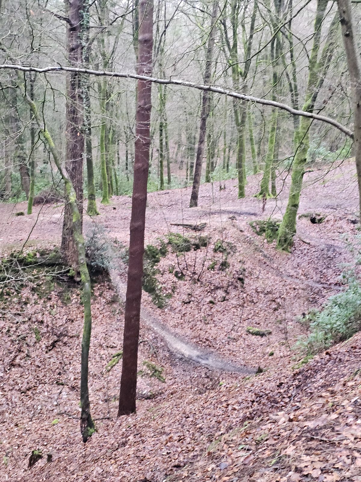 Jc Jump Line trail photo 3