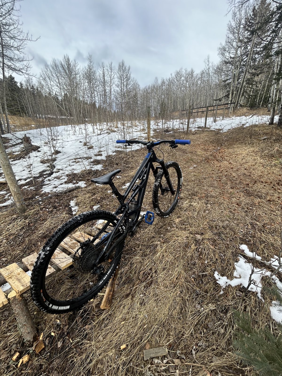 Whispering Pines trail photo 1