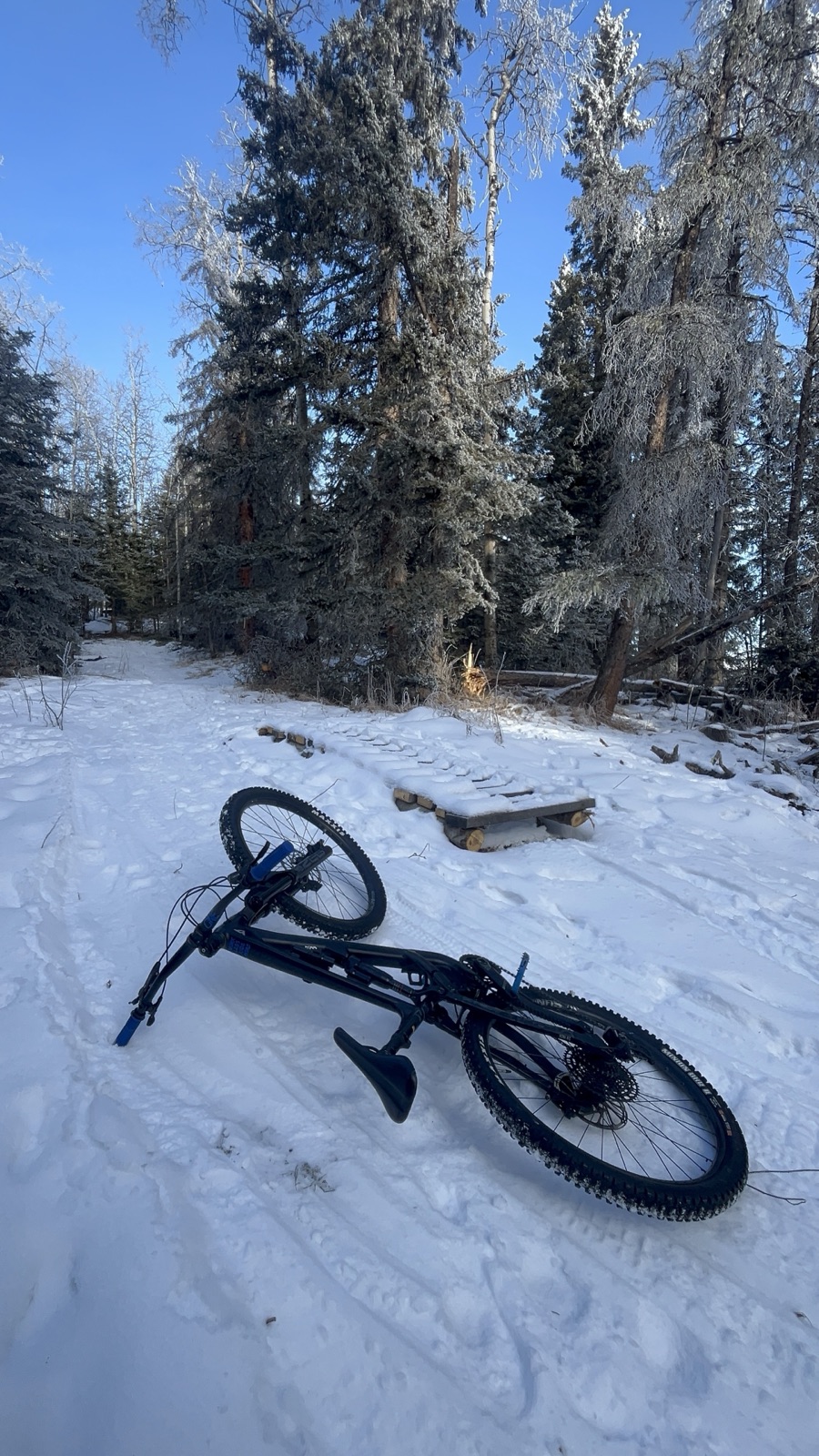 Whispering Pines trail photo 2