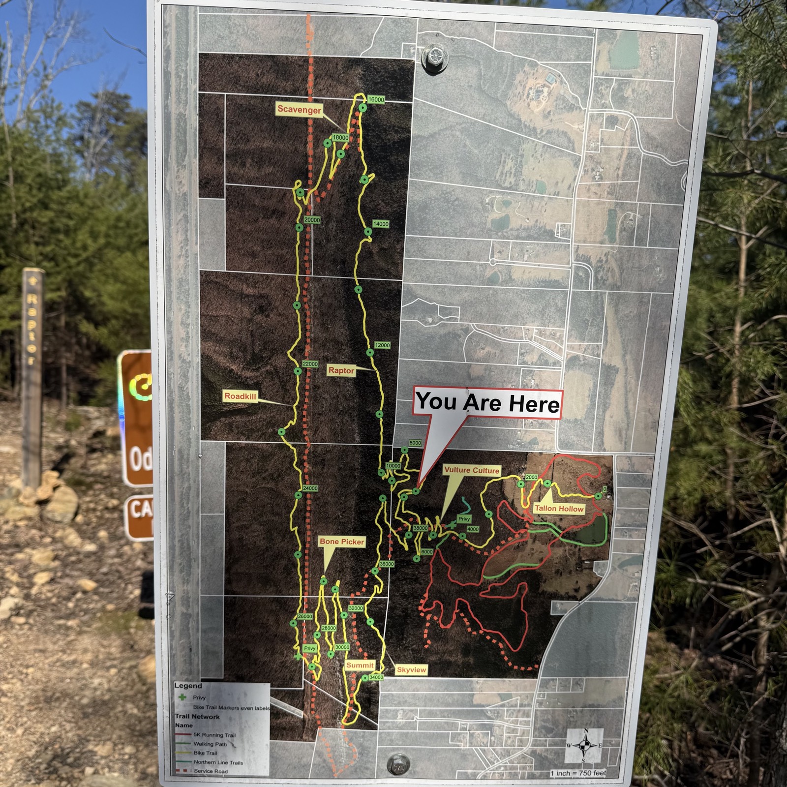 Rocky face ridge park trail photo 2