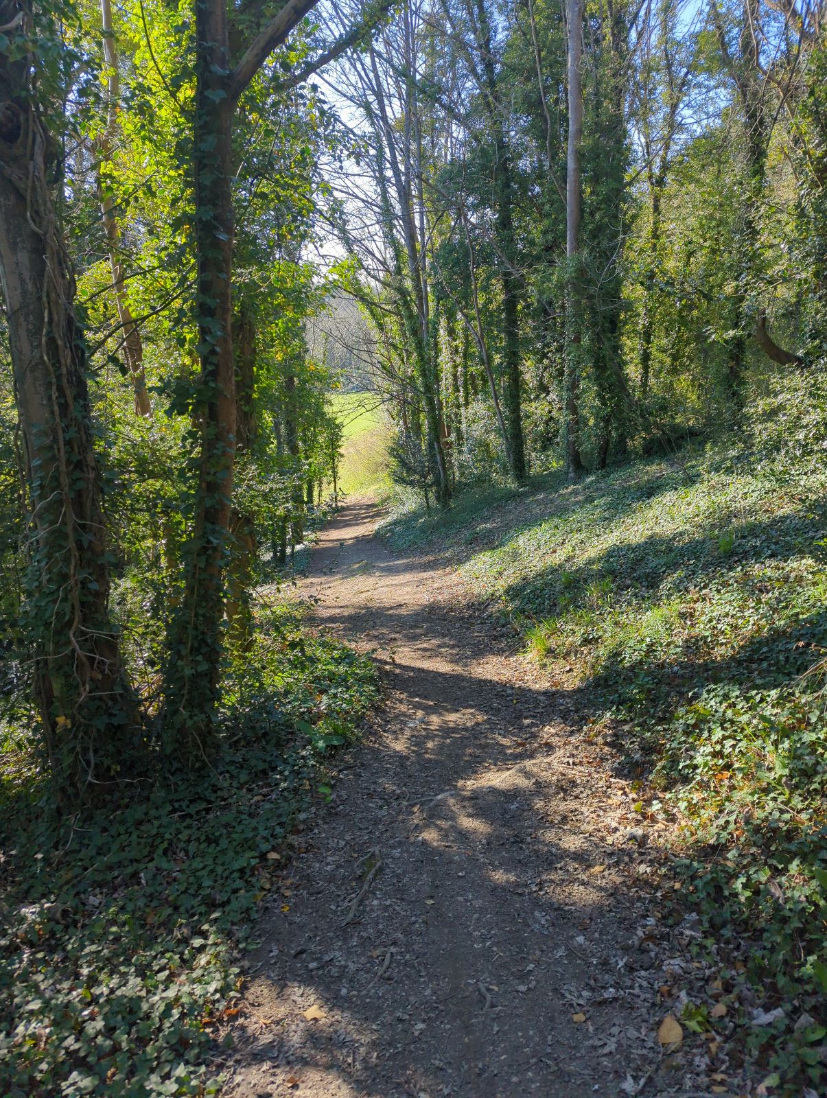 Henley Run trail photo 1