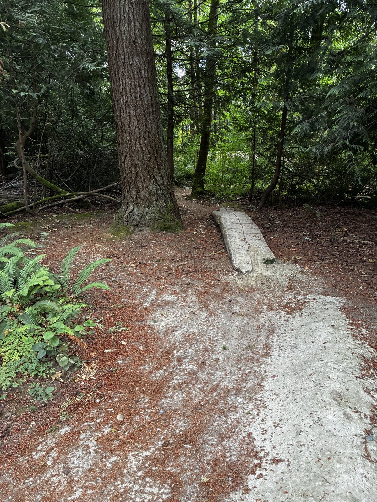 Walk it off trail photo 3