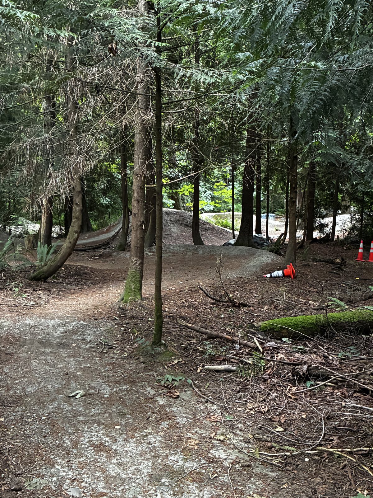 Walk it off trail photo 2