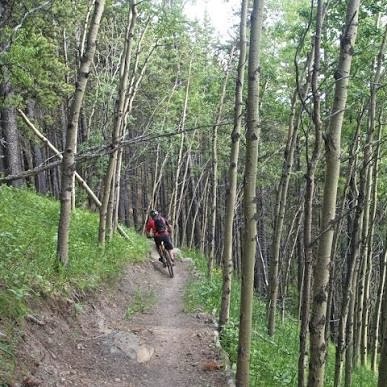 Family Guy trail photo 1