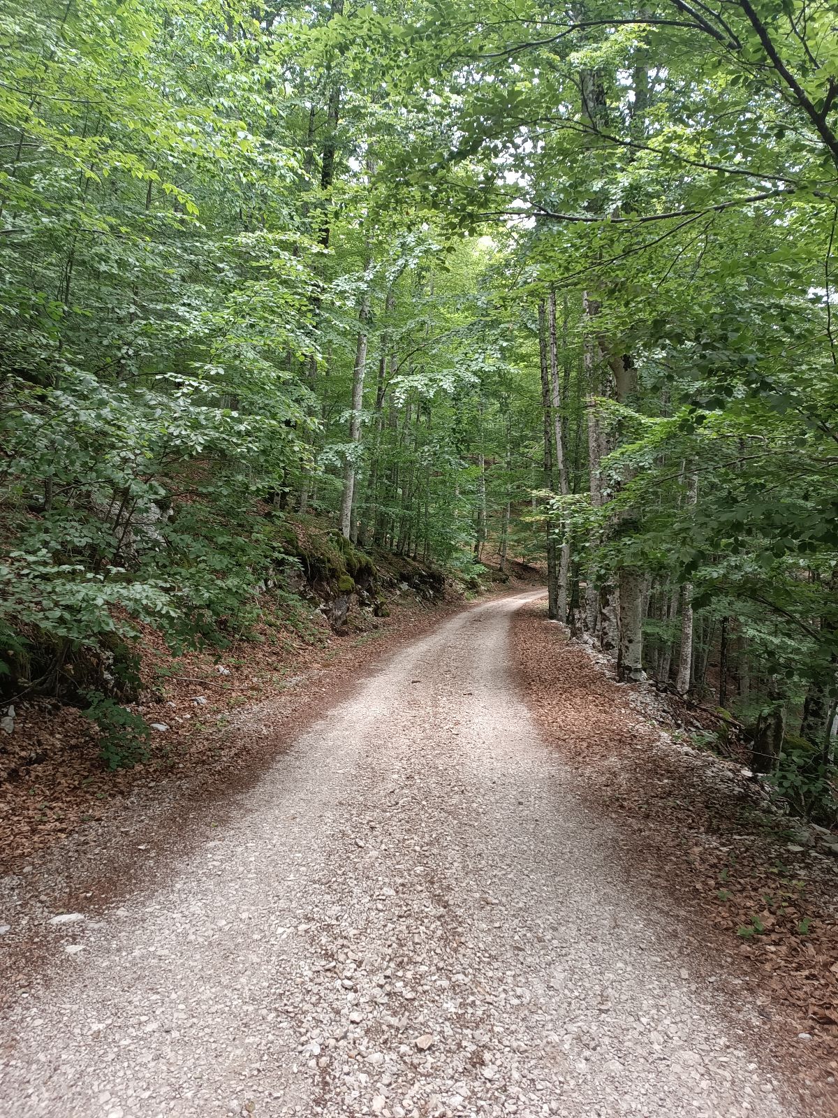 Učka 1 trail photo 5