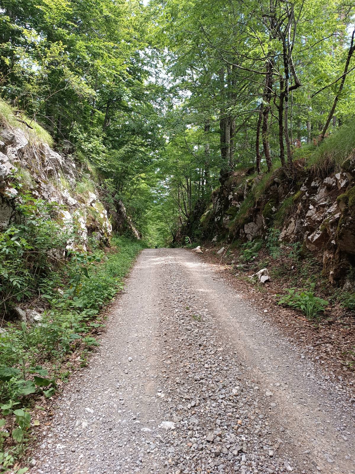 Učka 1 trail photo 3
