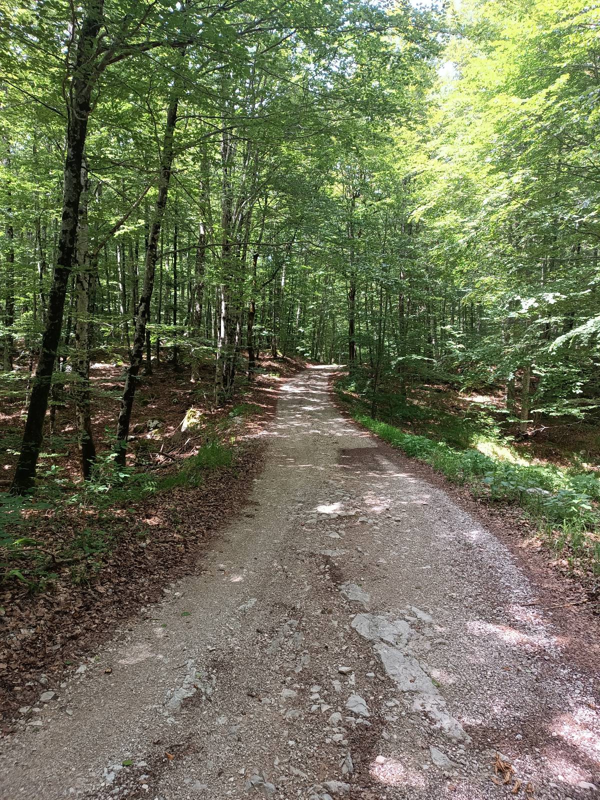 Učka 1 trail photo 1