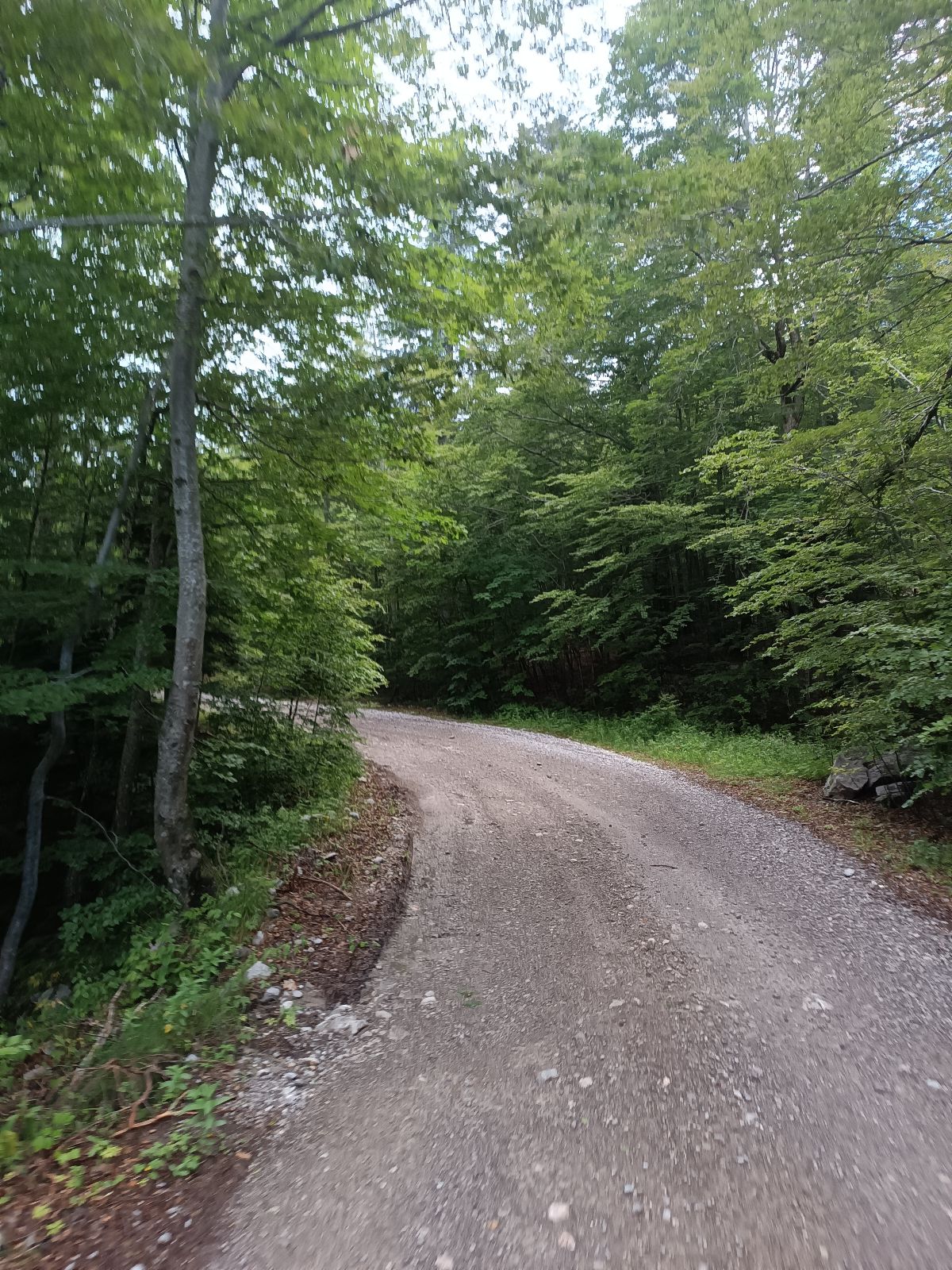 Platak - Trstenik trail photo 3