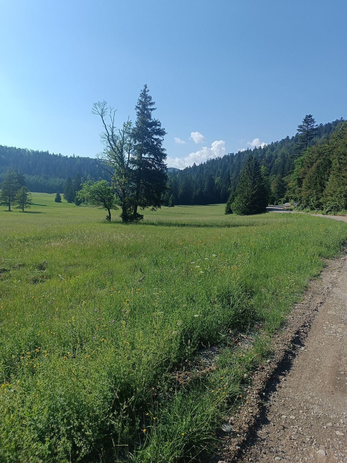 Platak - Trstenik trail photo 2