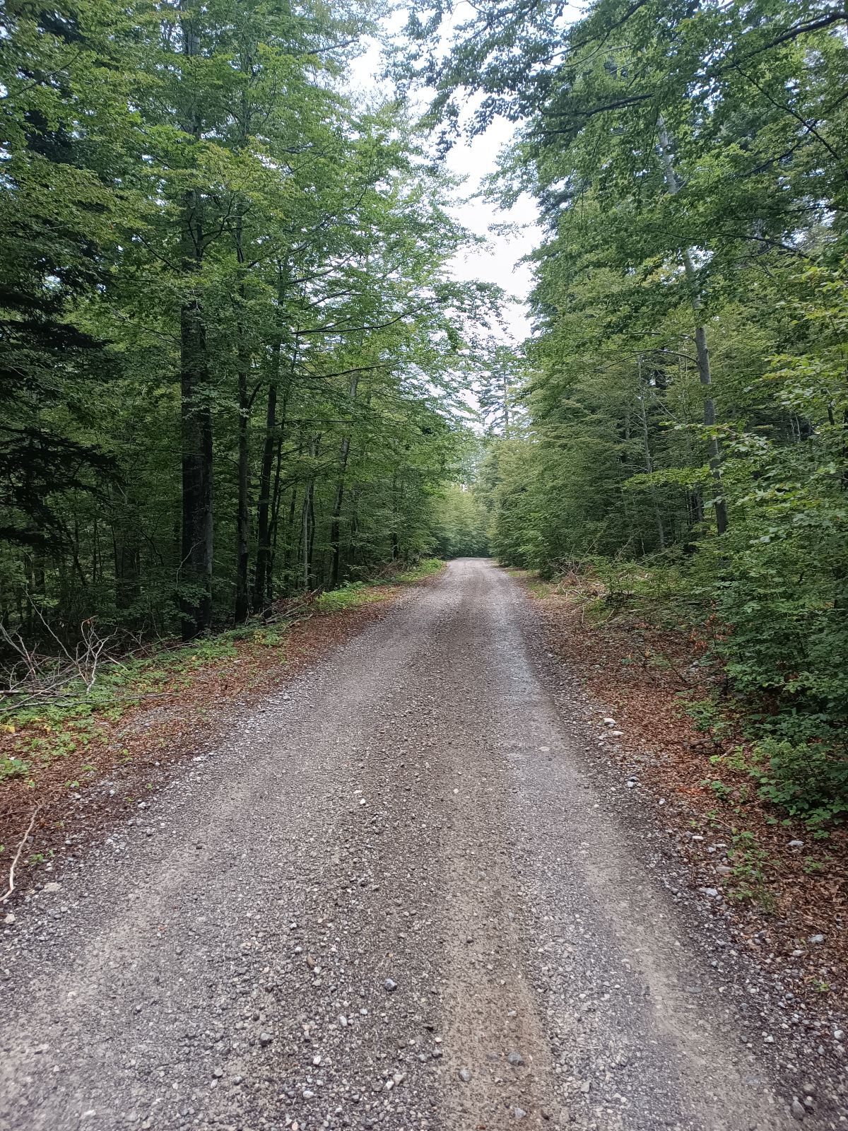 Platak - Trstenik trail photo 4