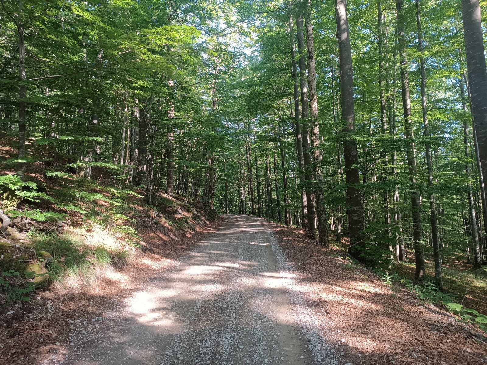 Platak - Trstenik trail photo 1