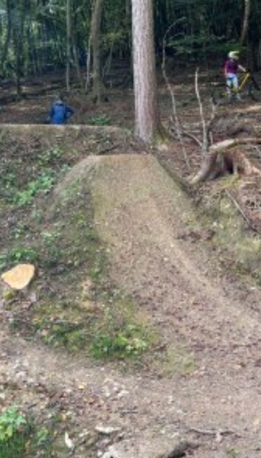 Flowtrail Heidenrod - Der ultimative Trail im Taunus trail photo 2