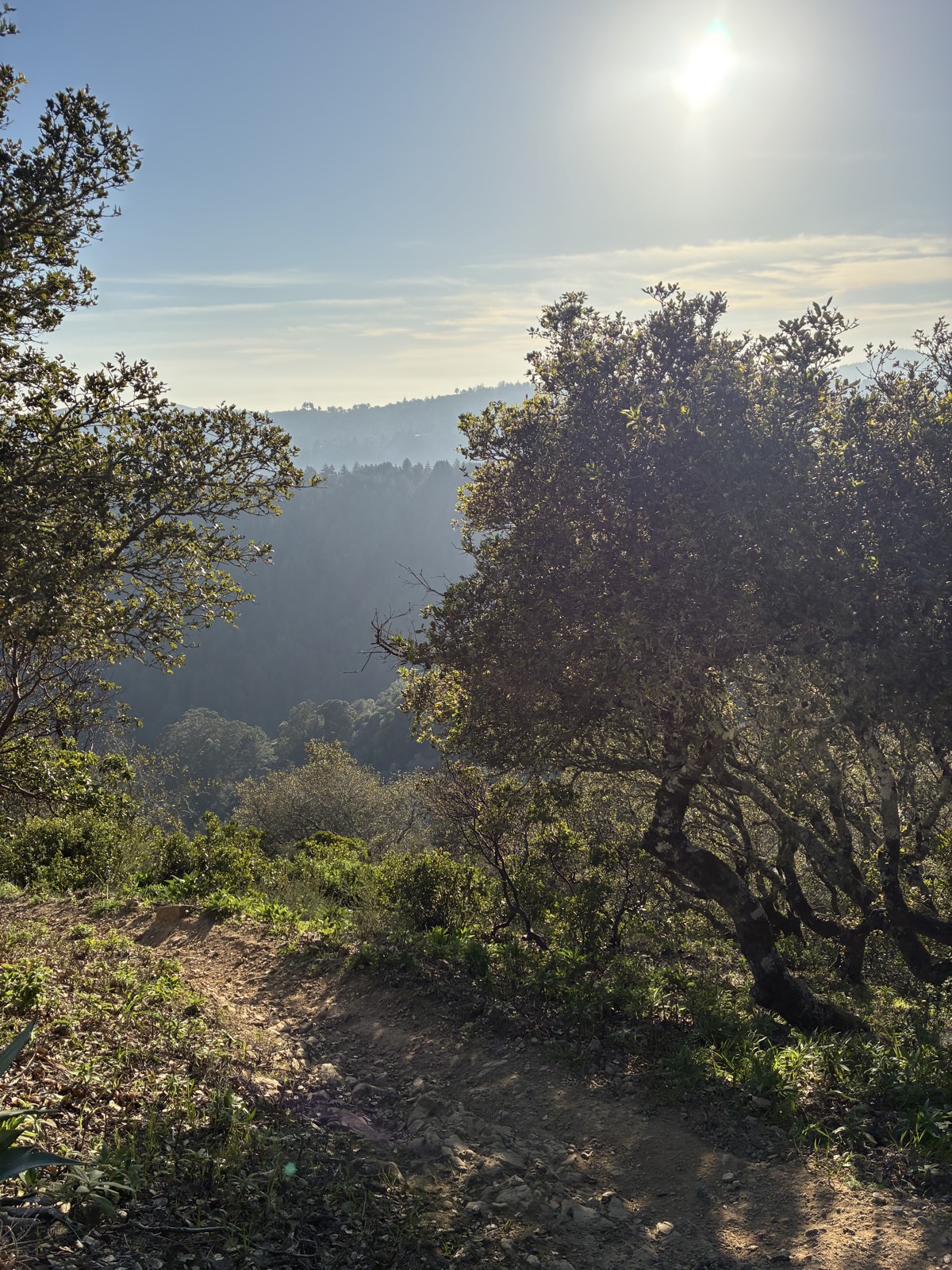 Upper Candy Drop trail photo 1