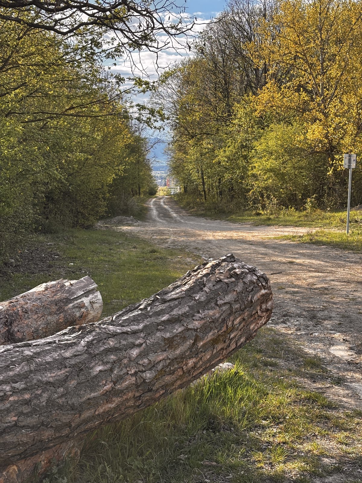 Hora ktorá ta otestuje na hline a aj ceste trail photo 2