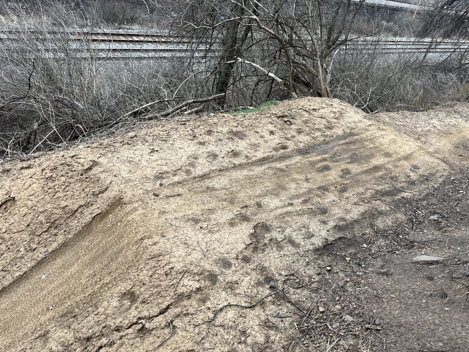 Redemption Center trail photo 3