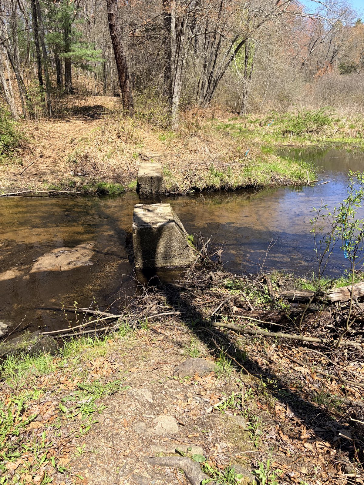 White blazes trail photo 2