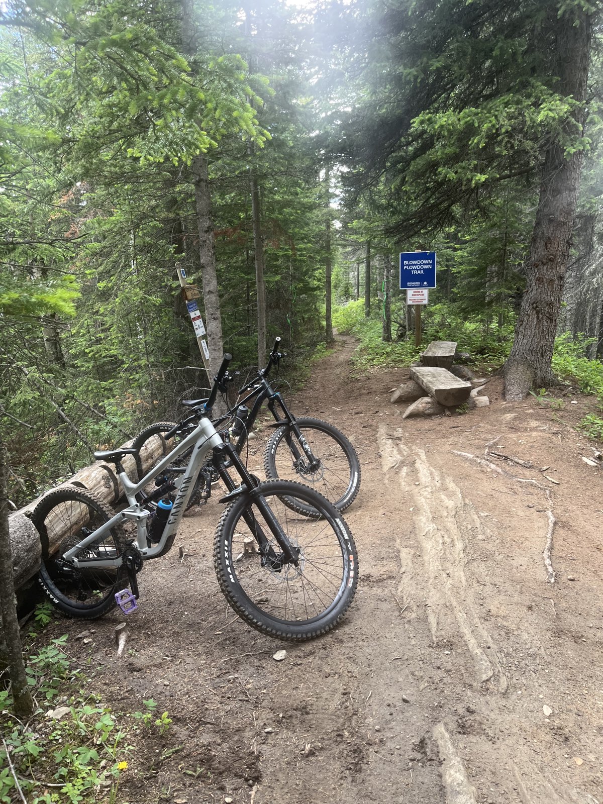 Stairway to Heaven trail photo 1