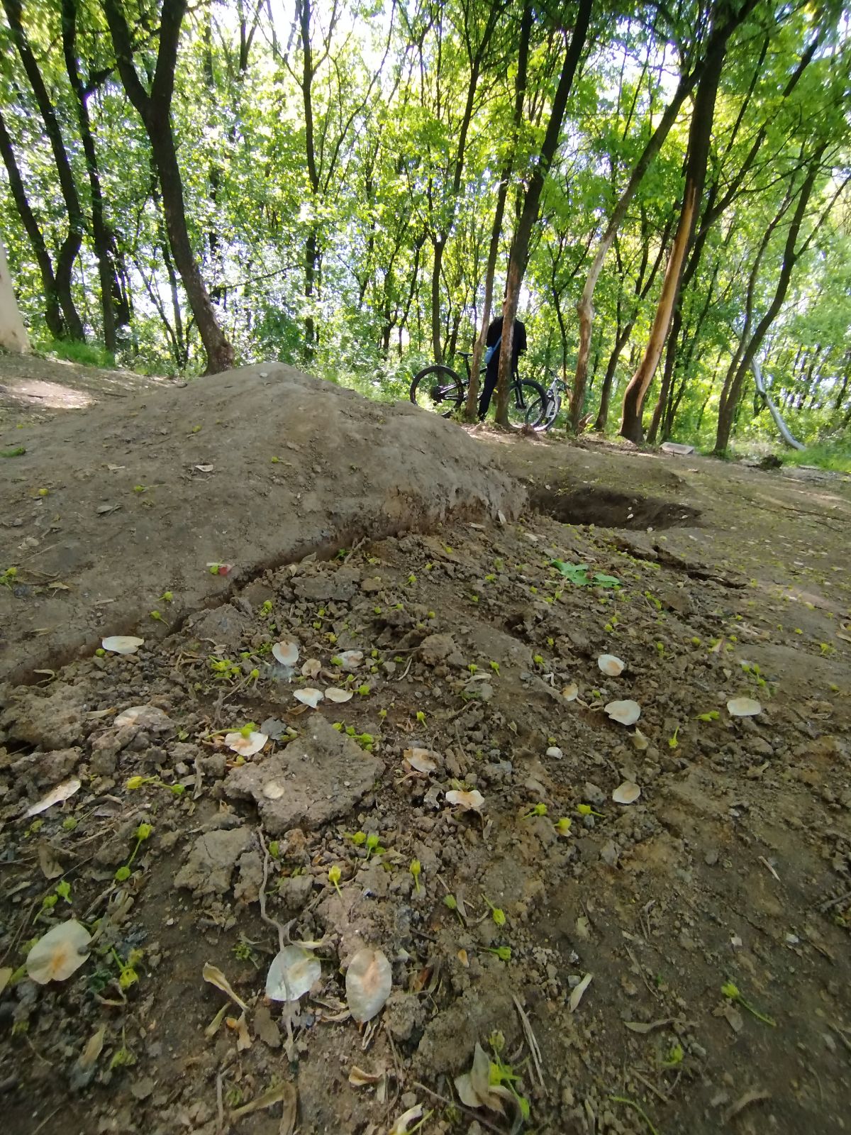 Koviljuše Trail trail photo 1