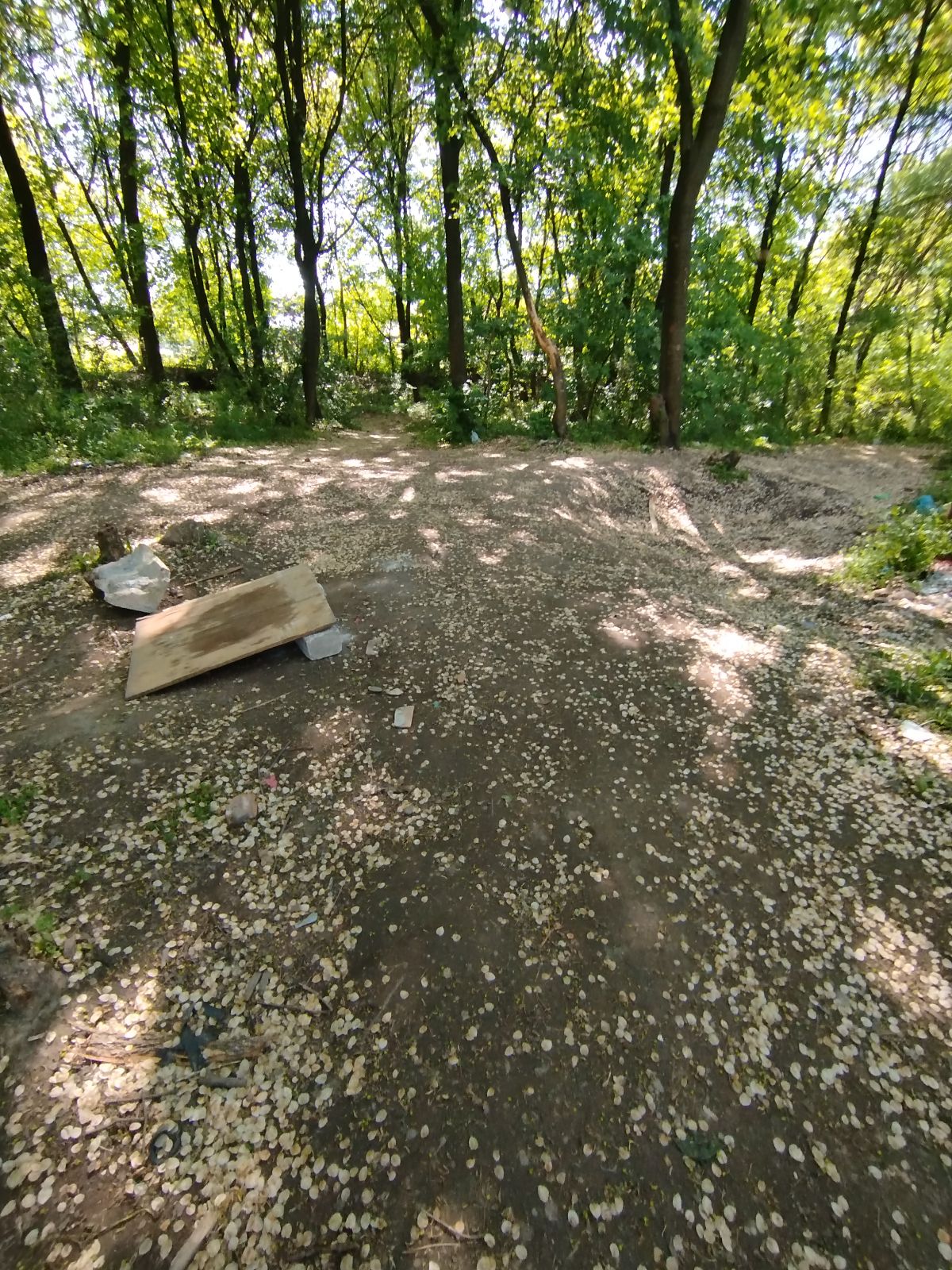 Koviljuše Trail trail photo 2
