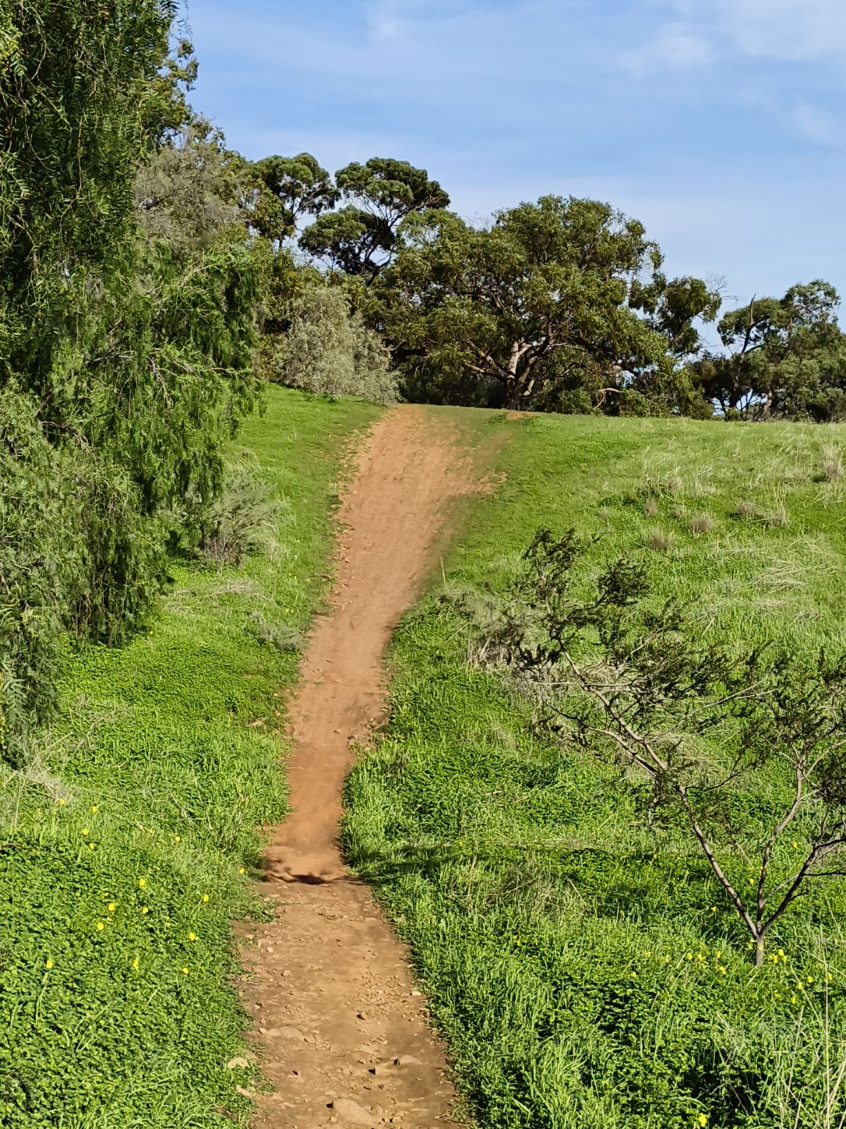 Pump Track Entrance And Exit trail photo 3
