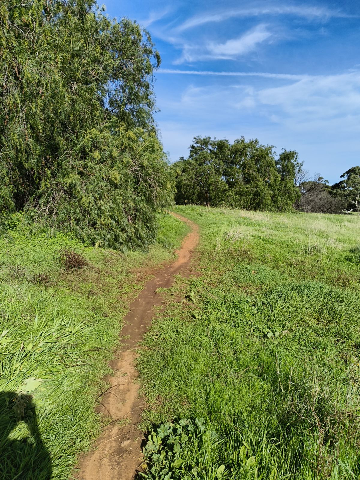 Pump Track Entrance And Exit trail photo 1