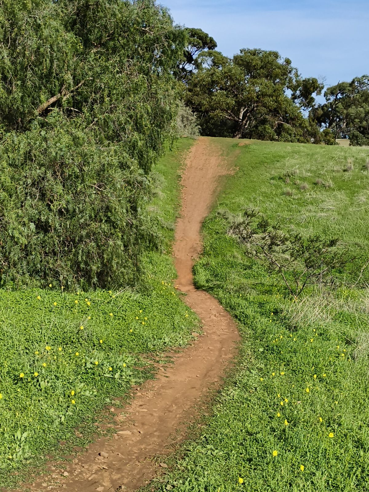 Pump Track Entrance And Exit trail photo 2