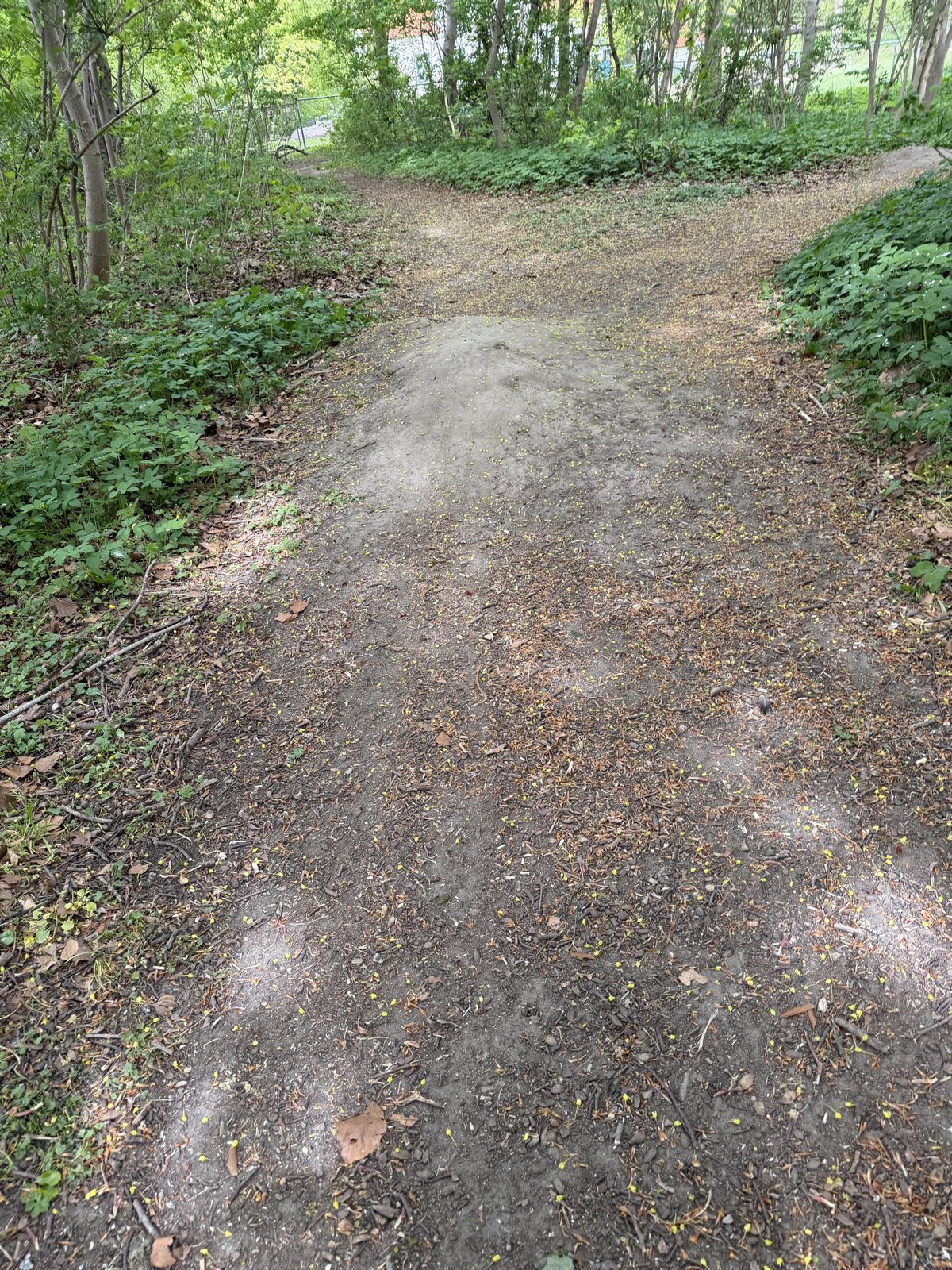 Svanetorp skogen mtb park trail photo 4