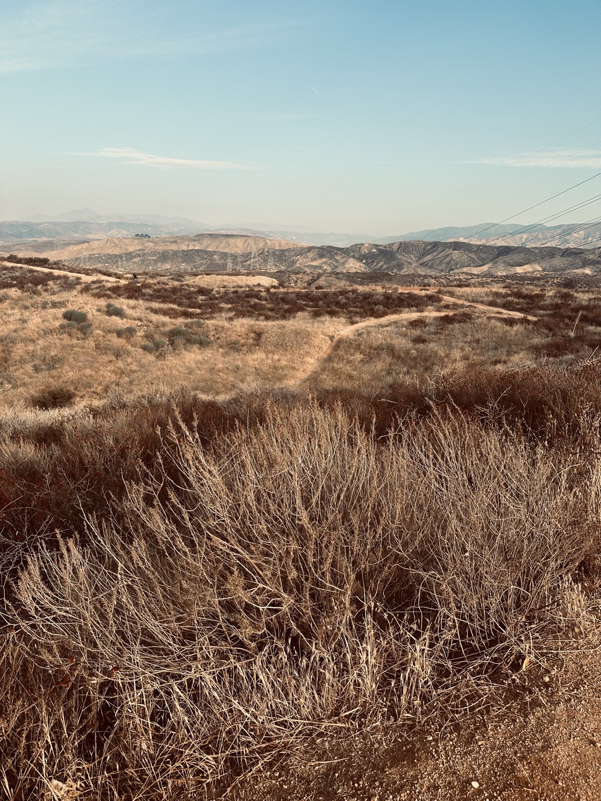 Wayside Canyon Road trail photo 3