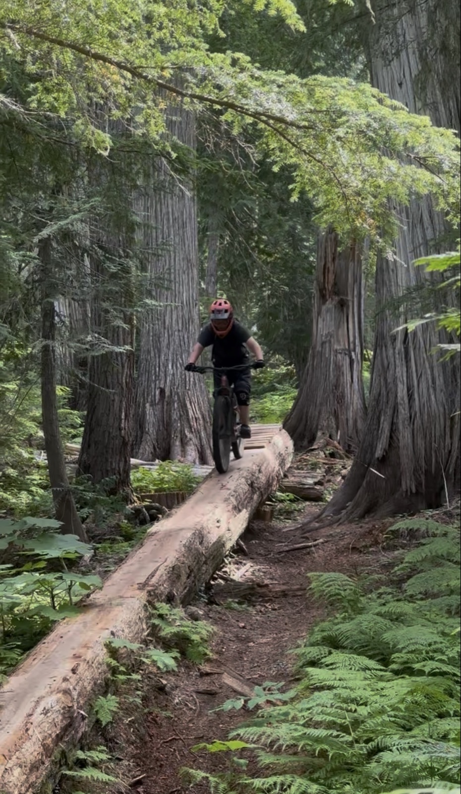 Highballer trail photo 1