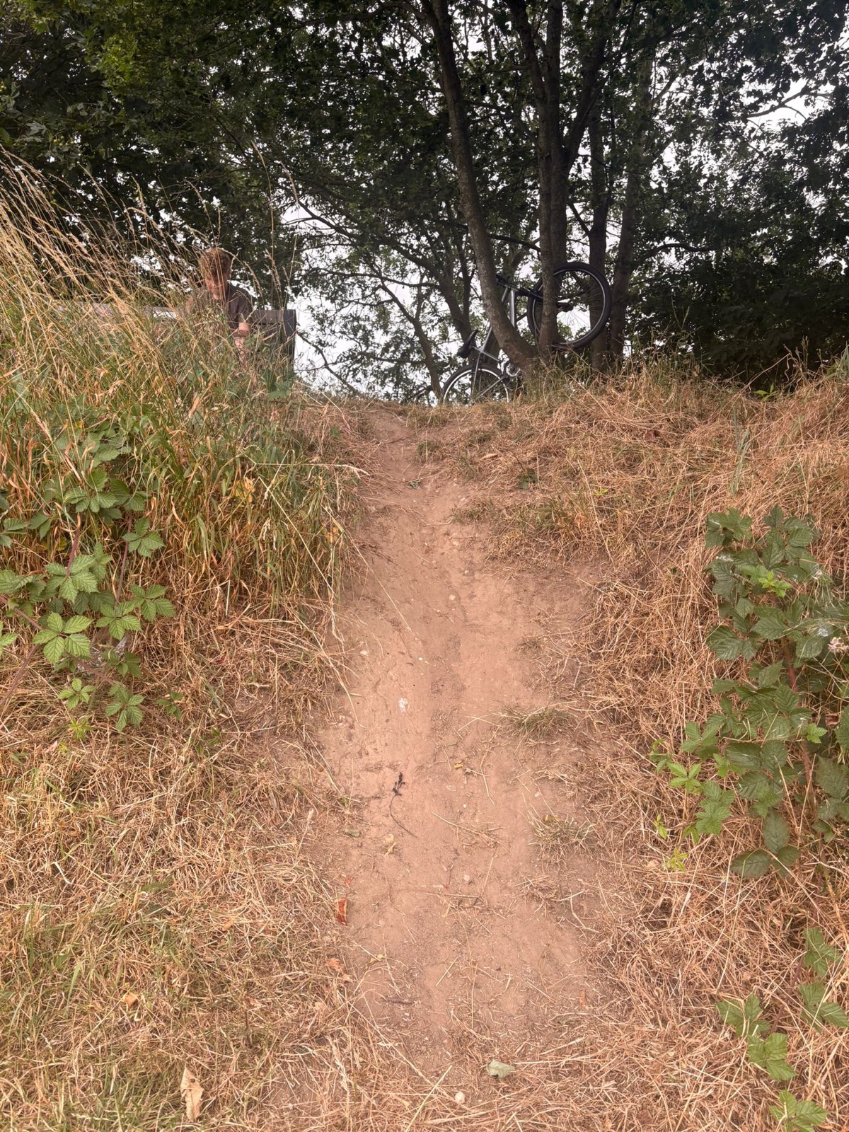 Mini hill trail trail photo 2