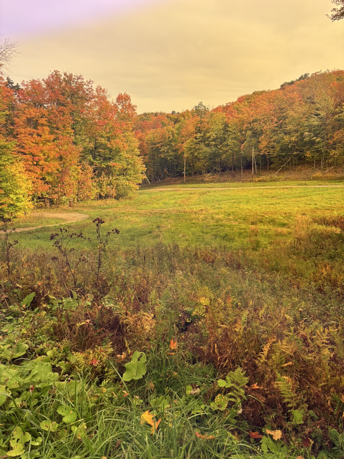 21 Grande Douce trail photo 2