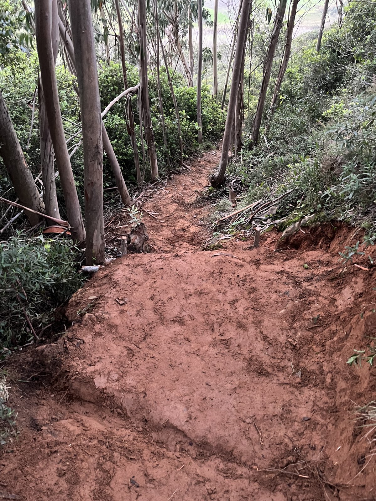 Trilho do Diabo trail photo 5