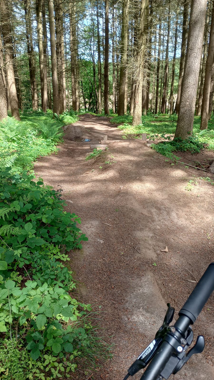 Jumpline trail photo 1