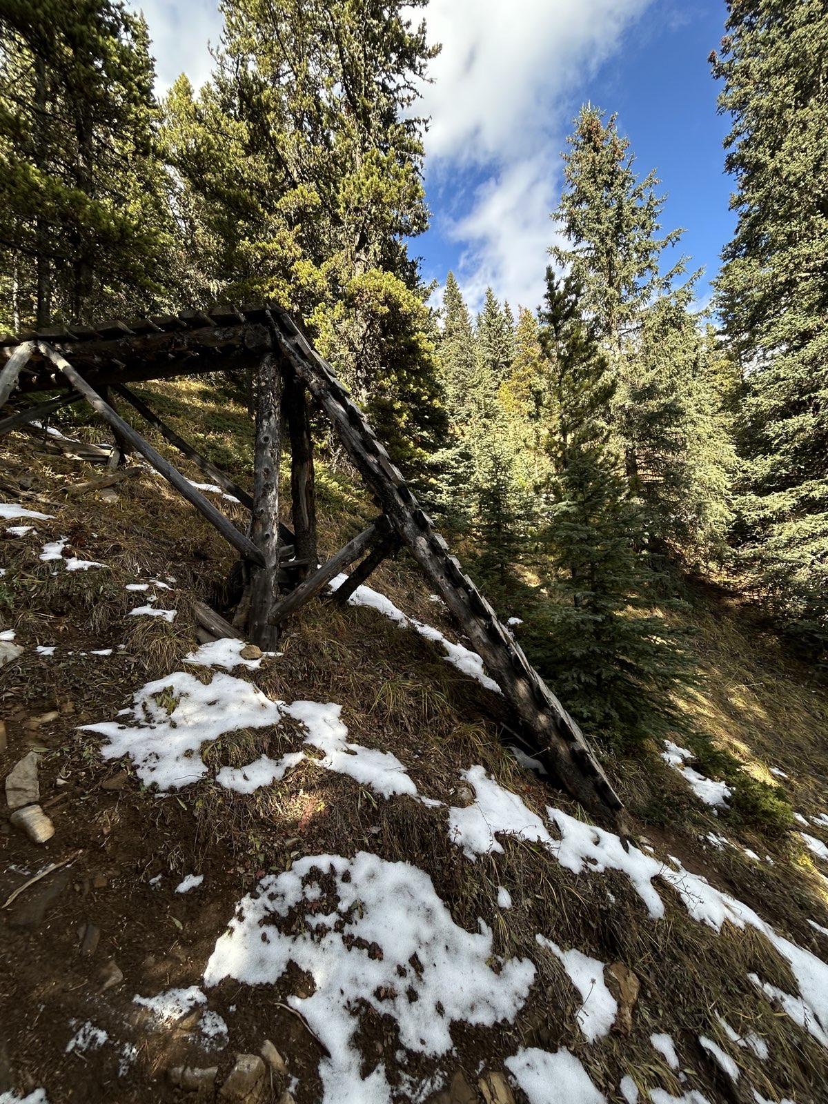 T-Dub trail photo 2