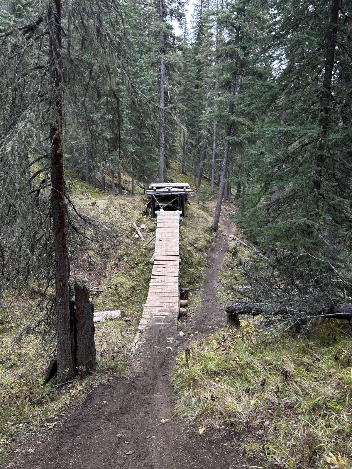 T-Dub trail photo 4