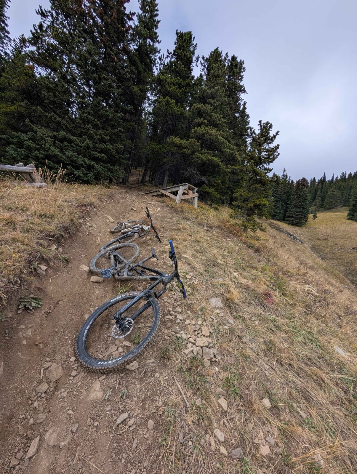 T-Dub trail photo 3