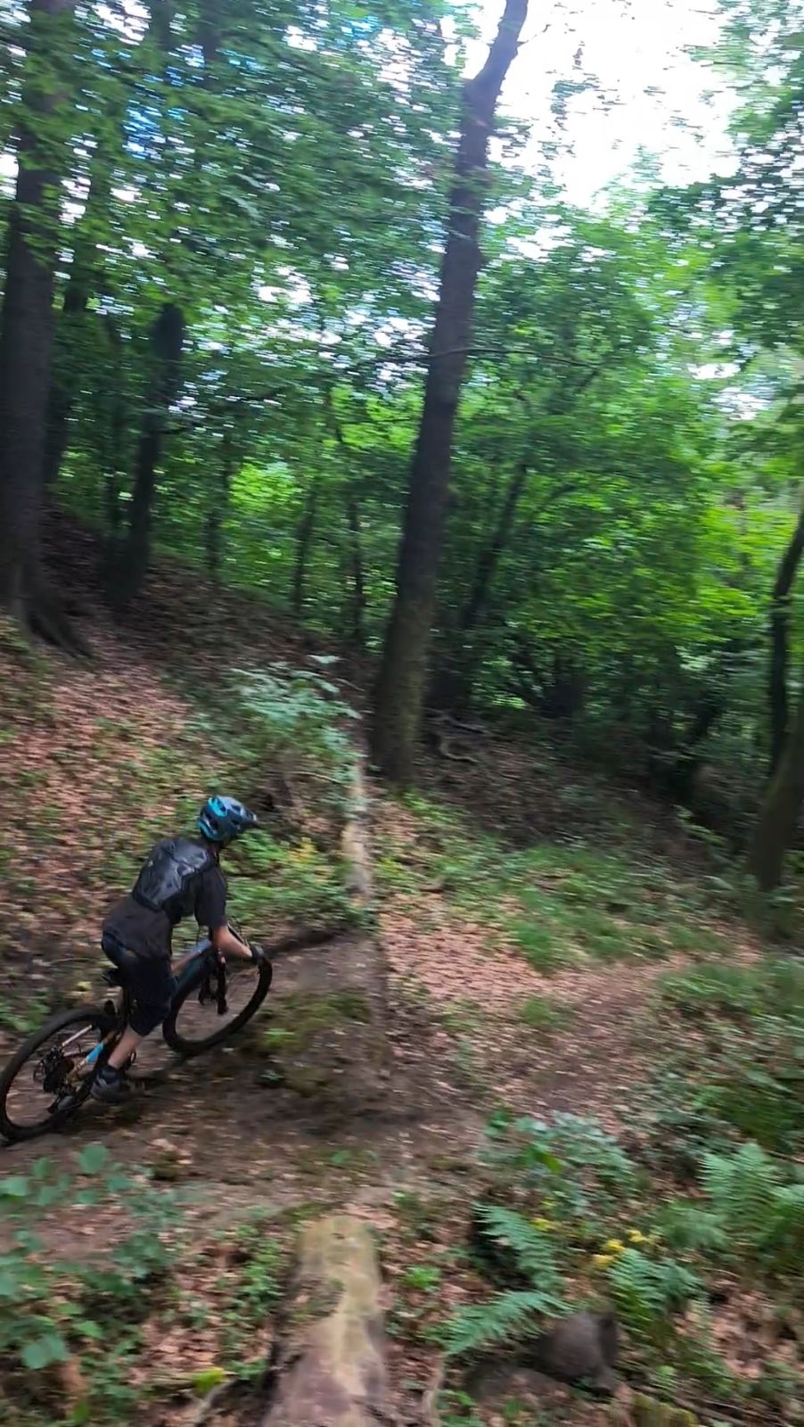 Chlum 1 trail photo 2