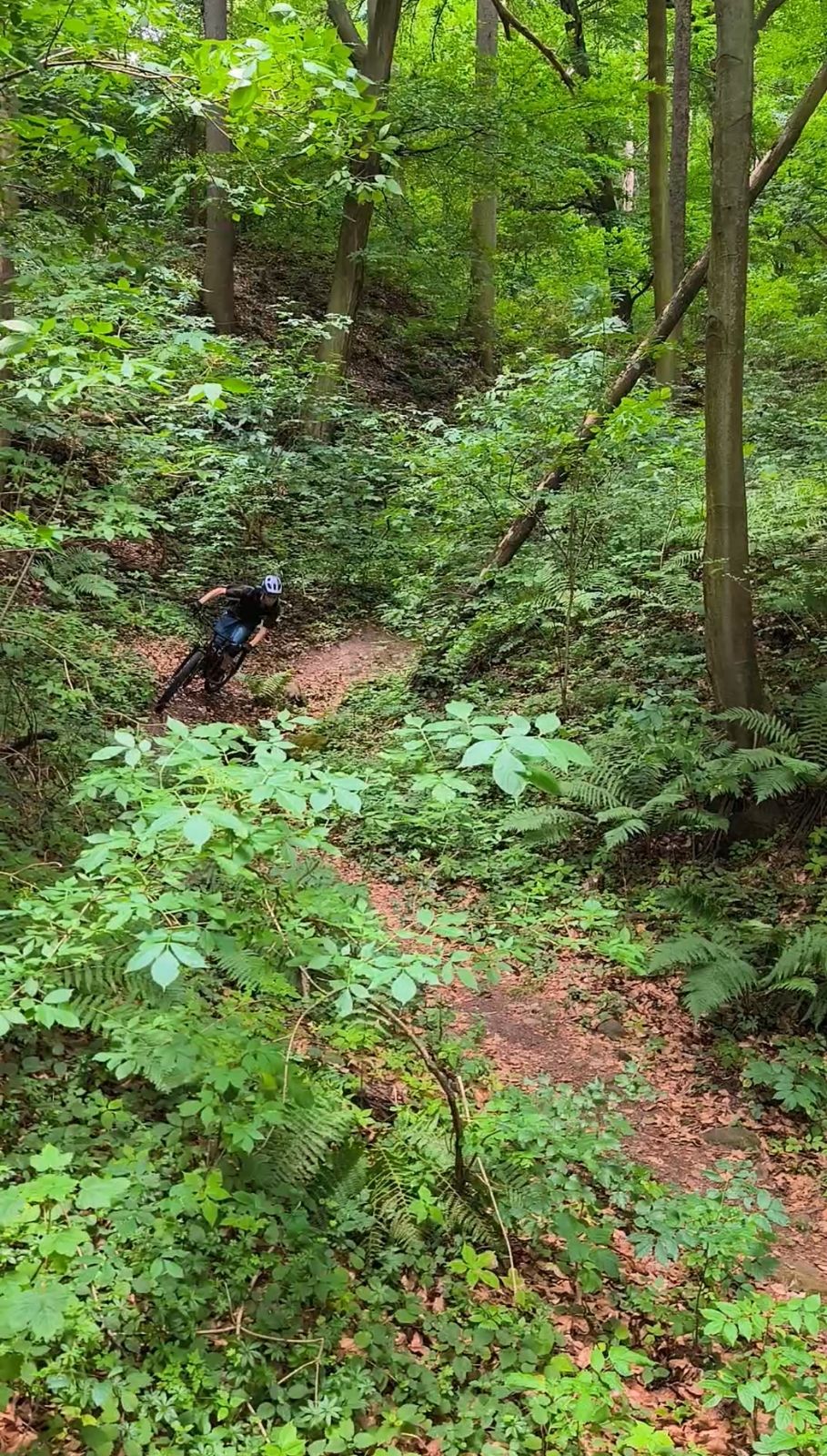 Chlum 1 trail photo 1