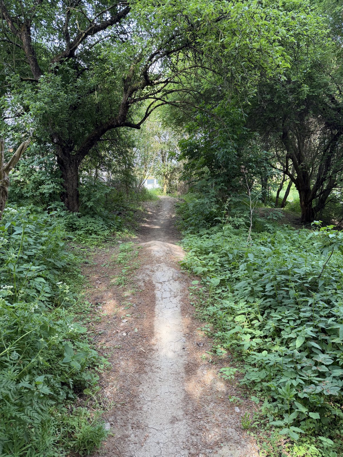 Severní Trail trail photo 3