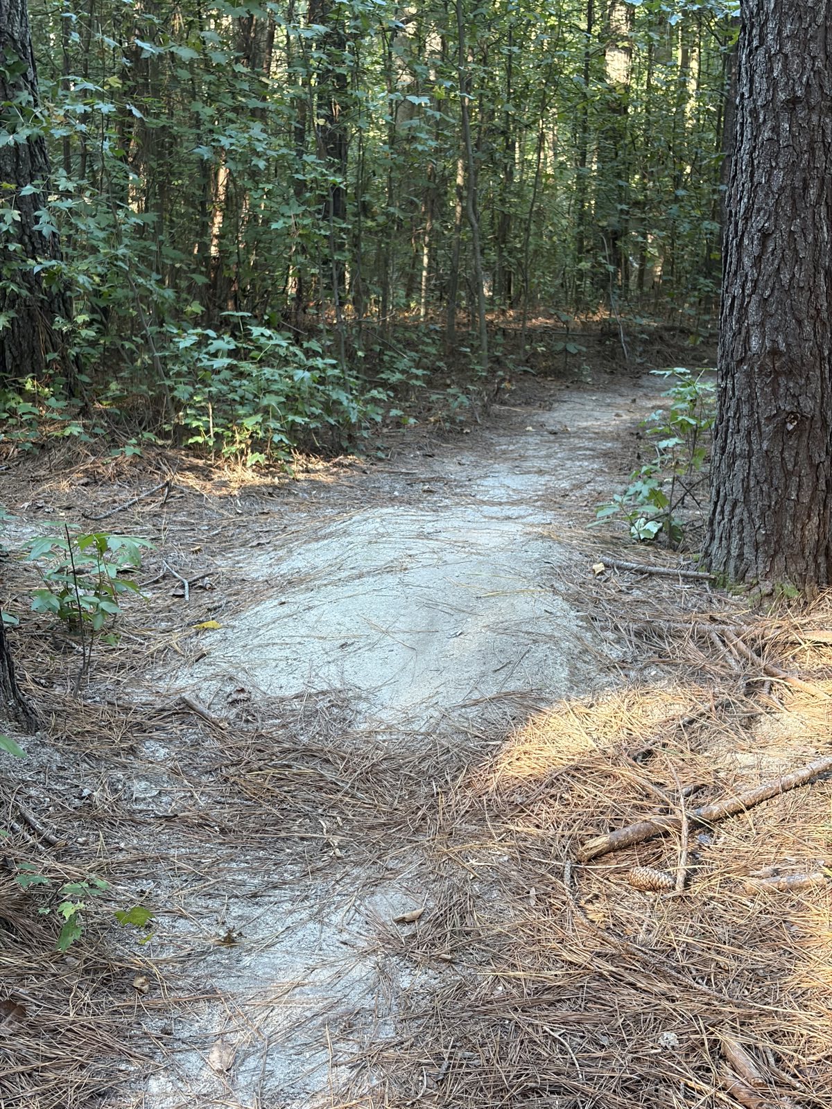 The Loop trail photo 5